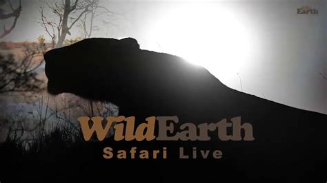 WildEarth Safari Live .